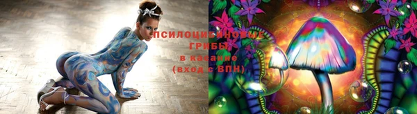 каннабис Тайга