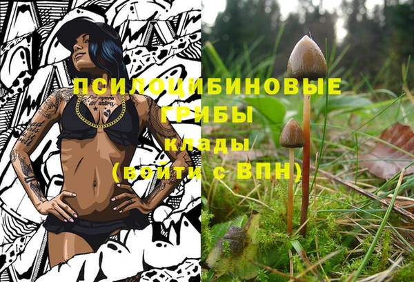 стафф Белокуриха